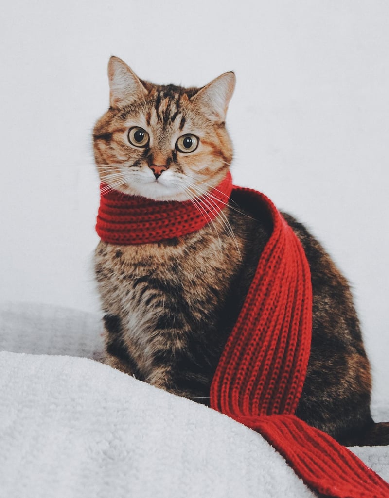 Upcycled scarf headband